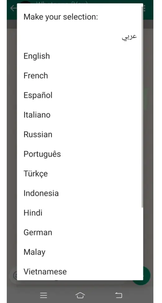 FM WhatsApp v10.10 APK - Descarga Gratuita 12 Traductor incorporado
